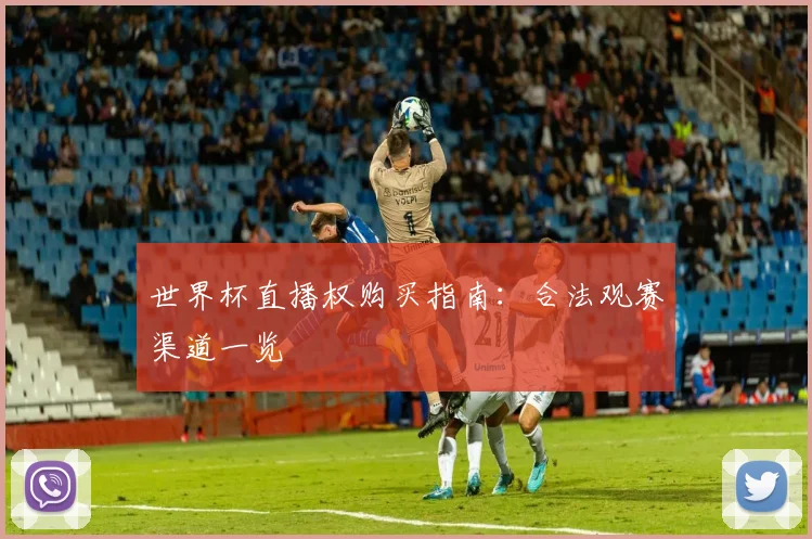 世界杯直播权购买指南：合法观赛渠道一览