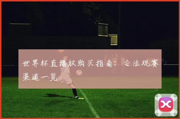 世界杯直播权购买指南:合法观赛渠道一览